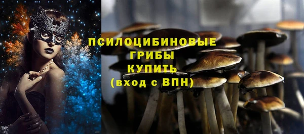 спайс Краснослободск