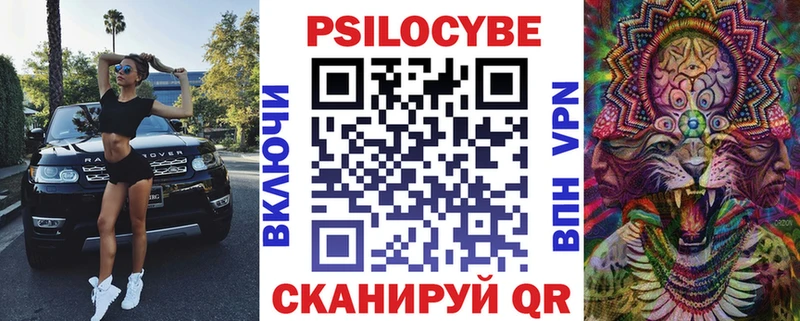 Купить закладки  Чишмы  Псилоцибиновые грибы GOLDEN TEACHER 